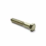 Stainless Lag Screws